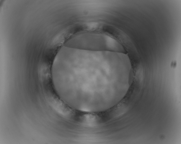 X0000112010272200909141133