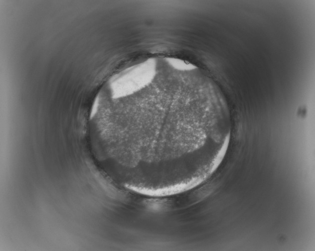 X0000112010273200909141133
