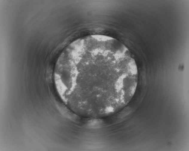 X0000112010274200909141133