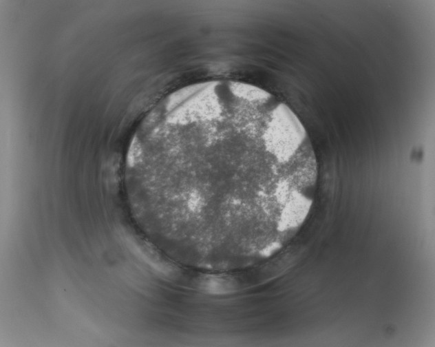 X0000112010275200909141133