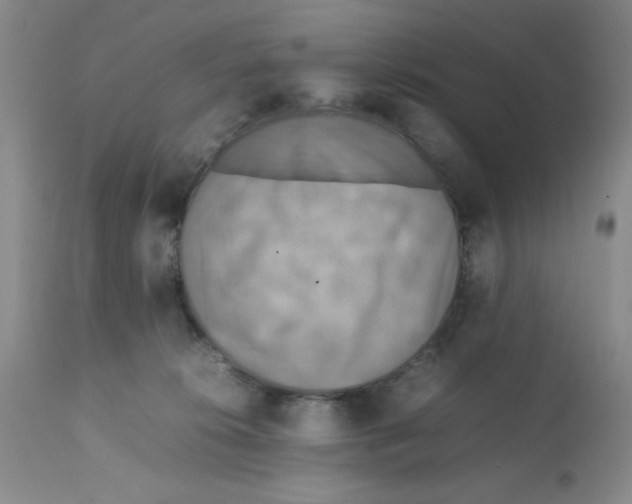 X0000112010276200909141133