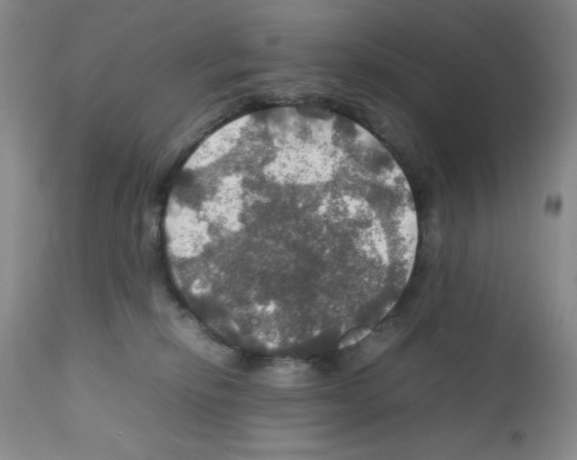 X0000112010278200909141133