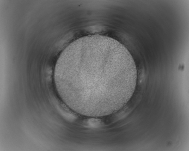 X0000112010279200909141133