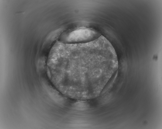 X0000112010280200909141133