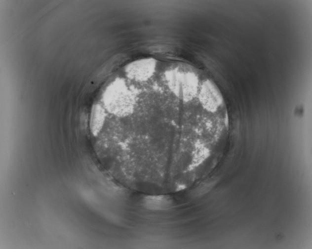 X0000112010281200909141133