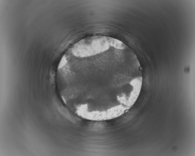 X0000112010282200909141133