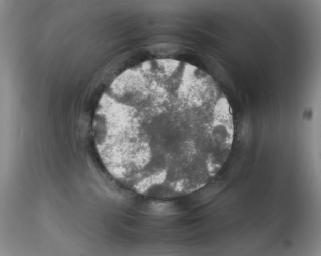 X0000112010283200909141133
