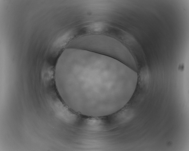 X0000112010284200909141133