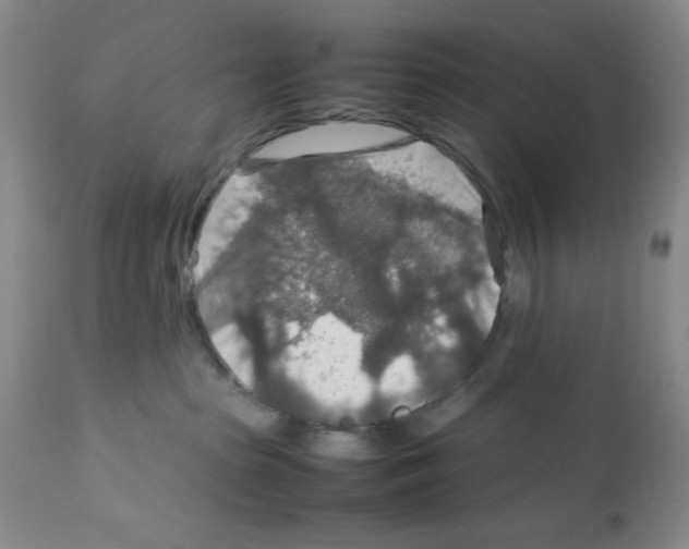 X0000112010285200909141133