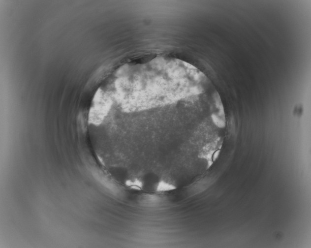 X0000112010286200909141133