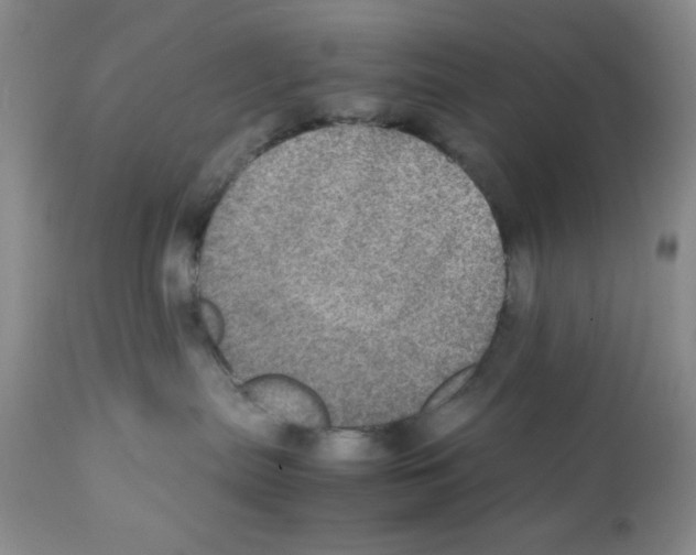 X0000112010287200909141133