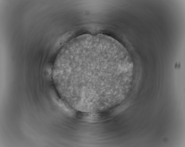 X0000112010288200909141133