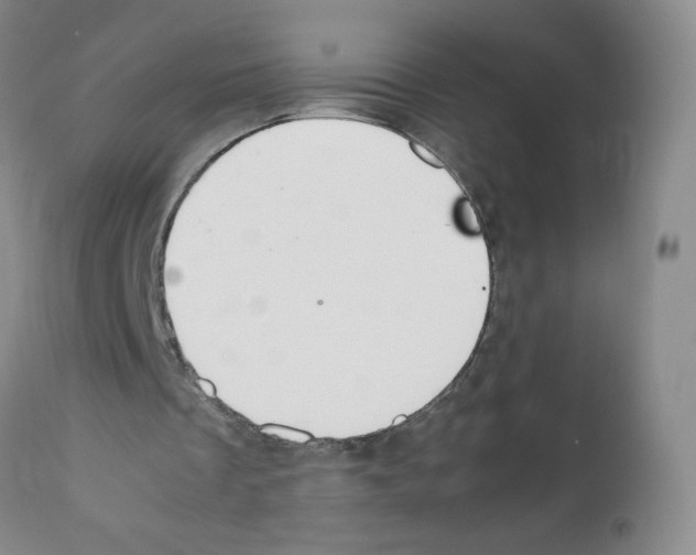 X0000112010289200909141132