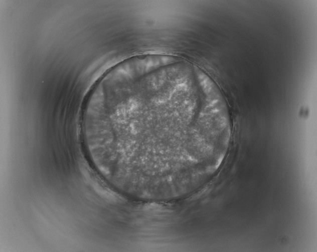 X0000112010290200909141132