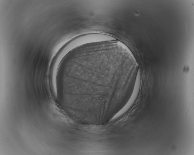 X0000112010292200909141132