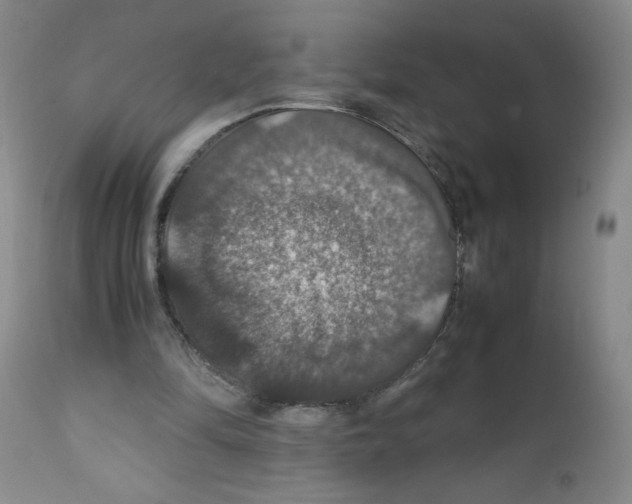 X0000112010294200909141132