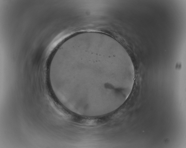 X0000112010295200909141132