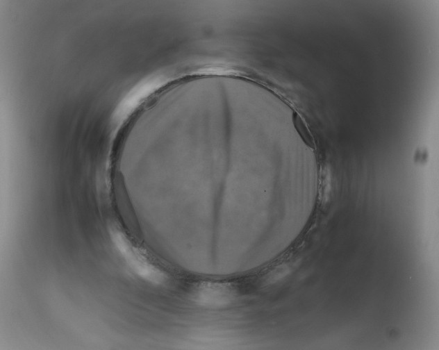 X0000112010296200909141132