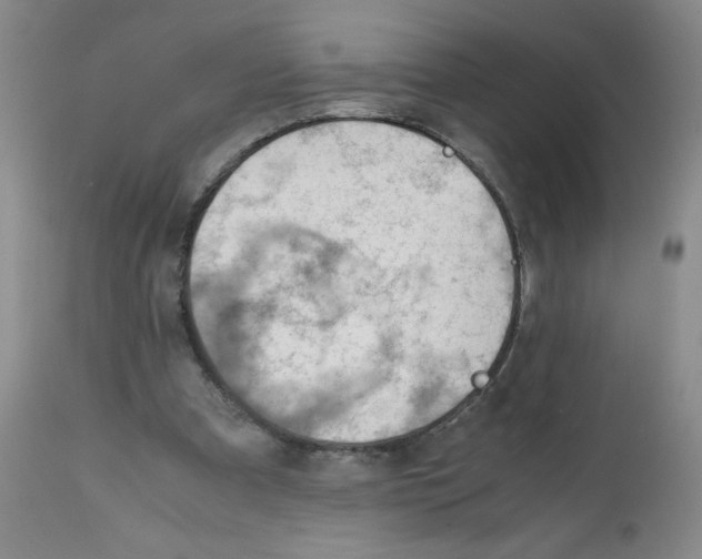 X0000112010297200909141132