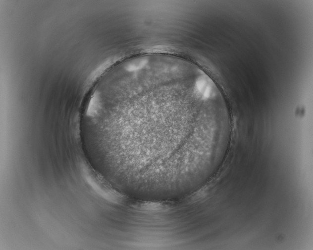 X0000112010298200909141132