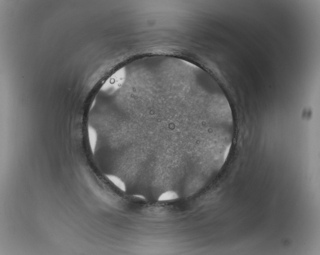 X0000112010299200909141132