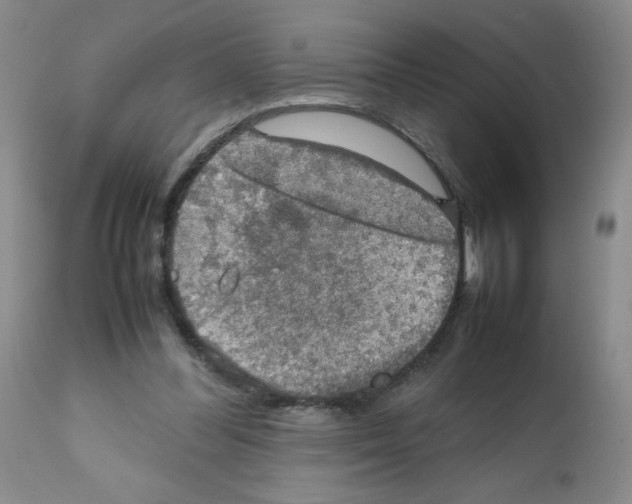 X0000112010300200909141132