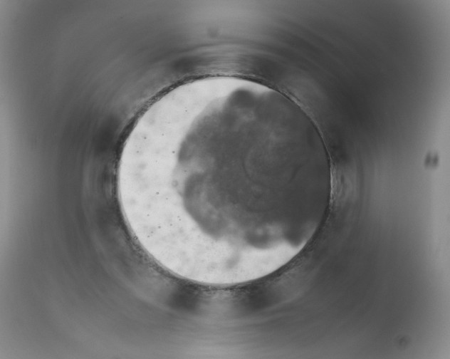 X0000112010301200909141132