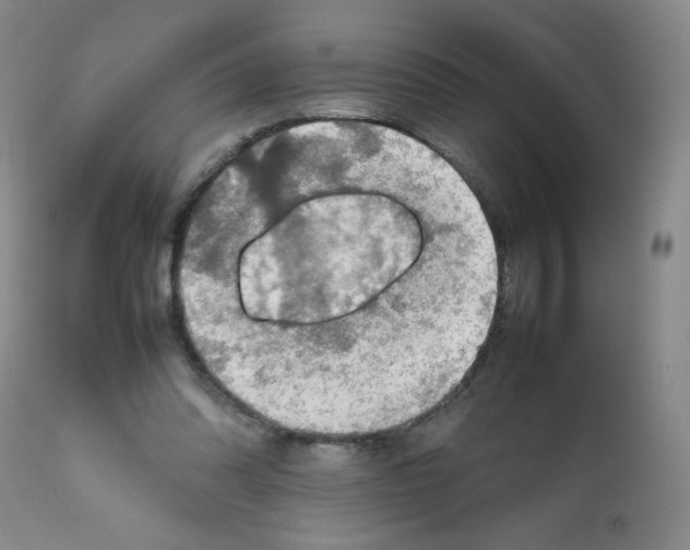 X0000112010302200909141132