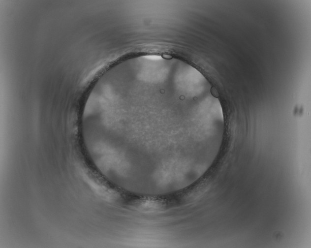 X0000112010303200909141132