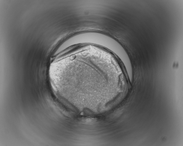 X0000112010304200909141132