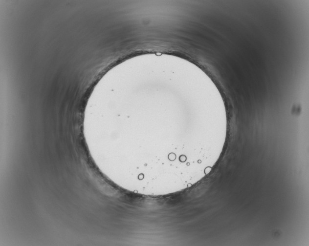 X0000112010305200909141132