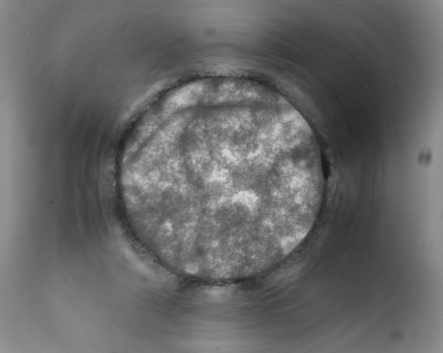 X0000112010306200909141132