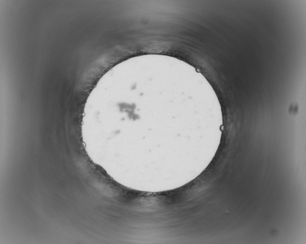 X0000112010307200909141132