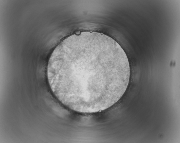 X0000112010309200909141132
