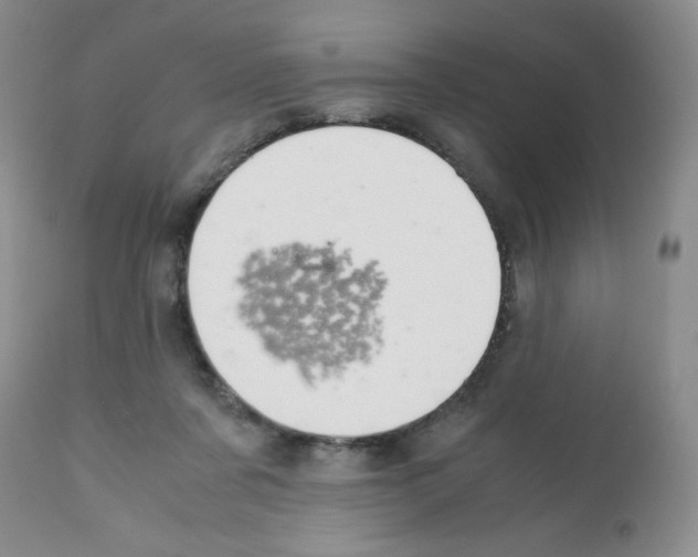 X0000112010311200909141132
