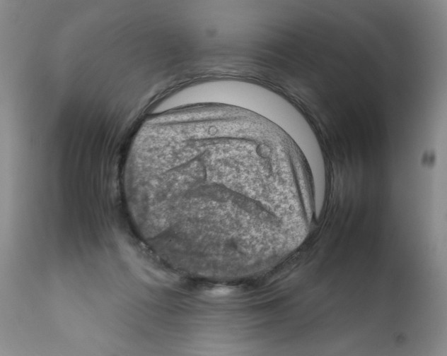 X0000112010312200909141132