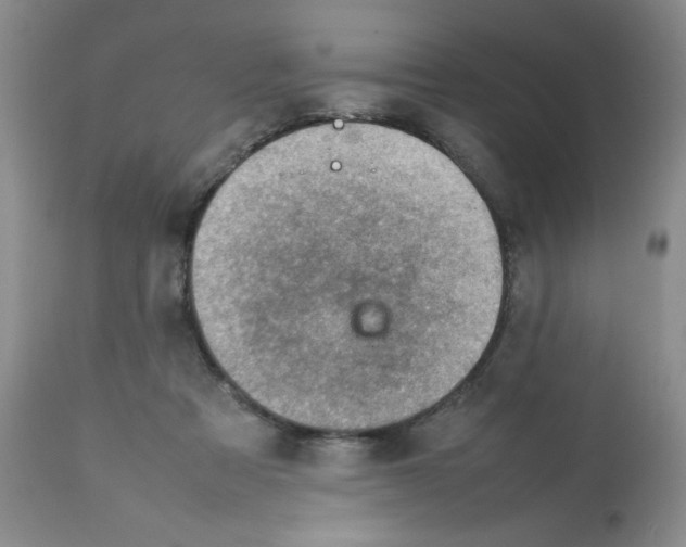 X0000112010313200909141132