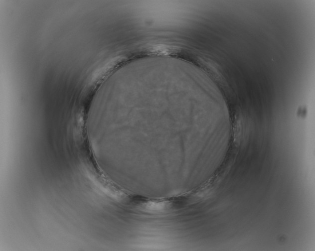 X0000112010314200909141132