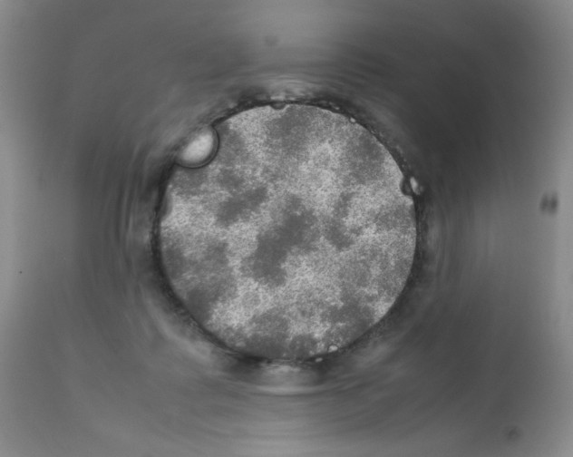 X0000112010315200909141132