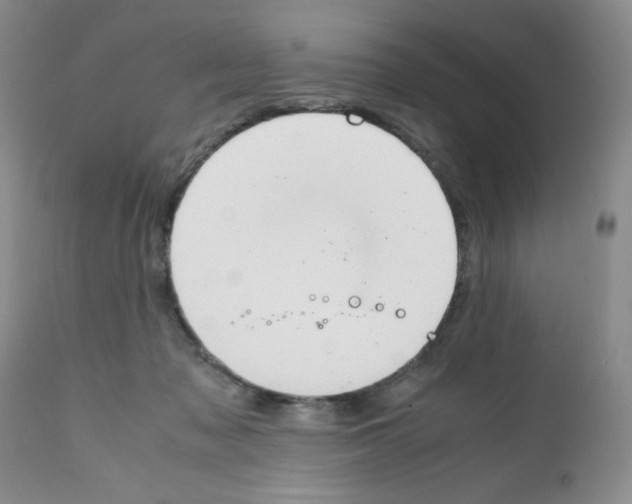 X0000112010317200909141132