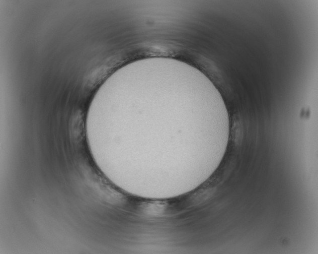 X0000112010318200909141132