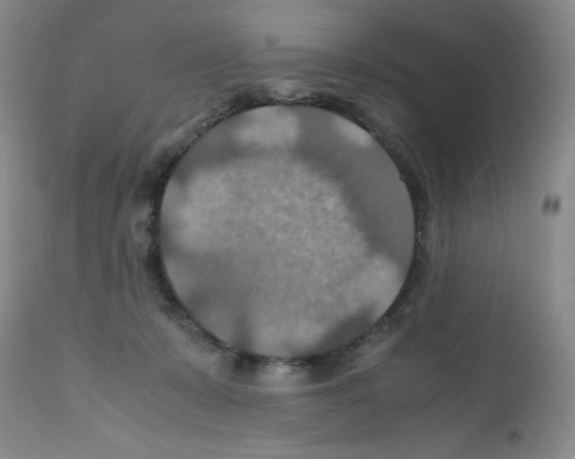 X0000112010319200909141132