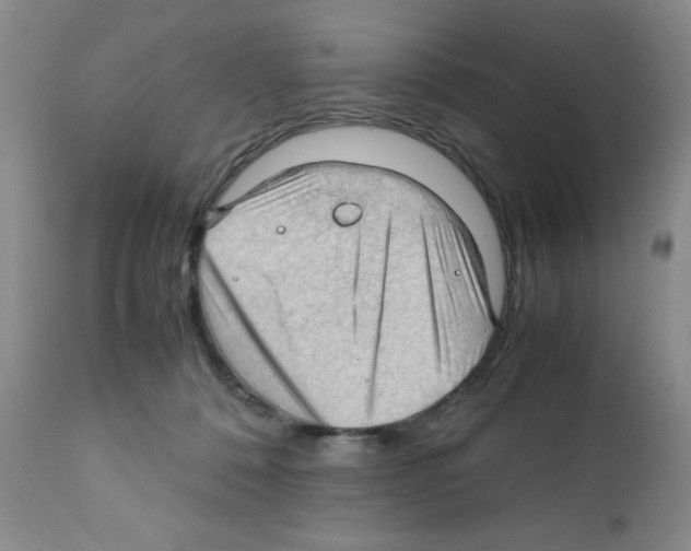 X0000112010320200909141132