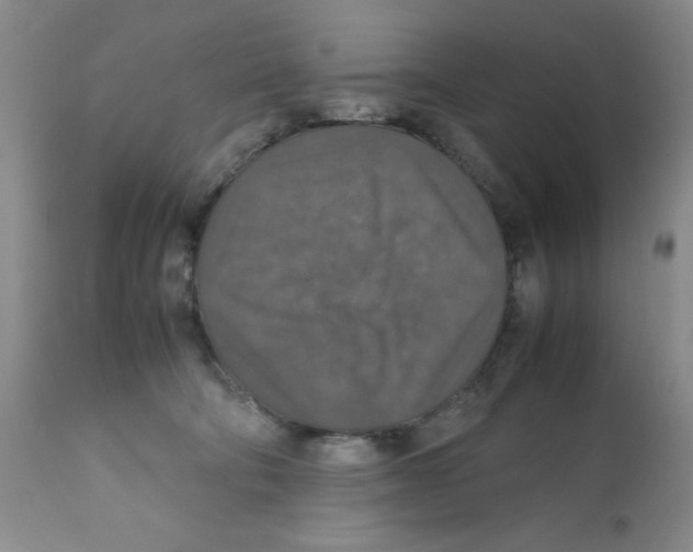 X0000112010322200909141132