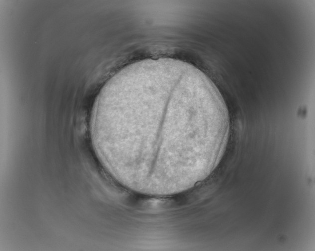 X0000112010323200909141132