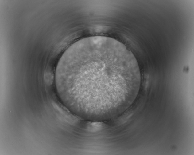 X0000112010324200909141132