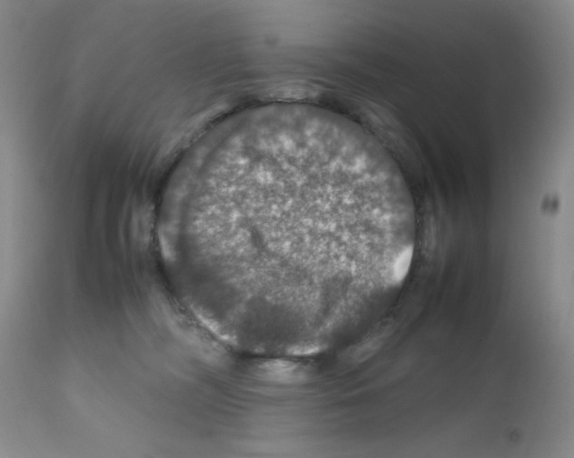 X0000112010326200909141132