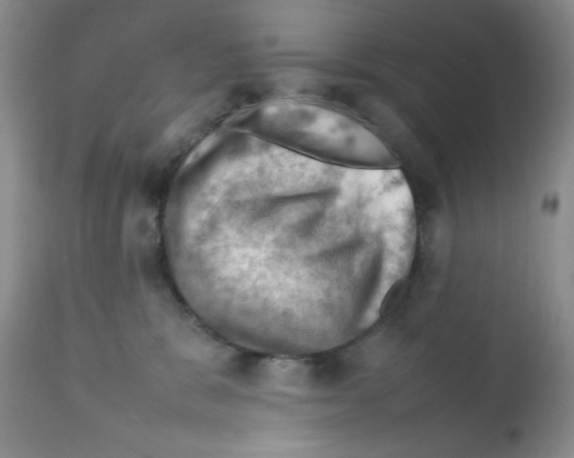 X0000112010327200909141132