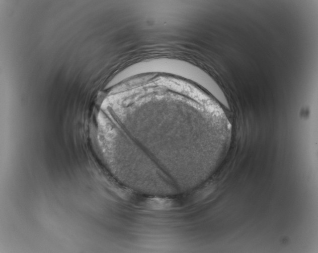 X0000112010328200909141132