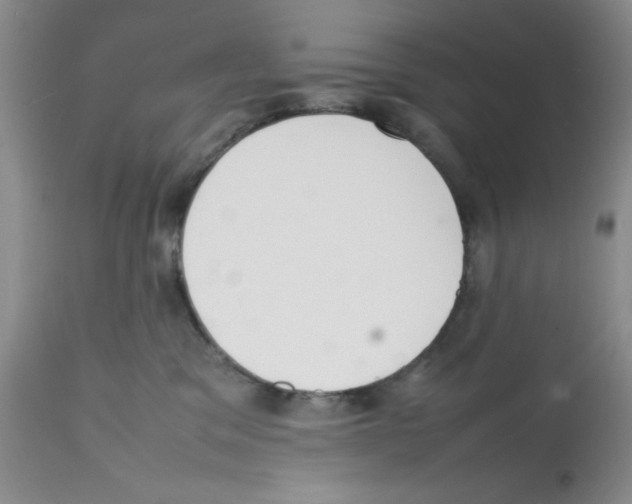 X0000112010329200909141132